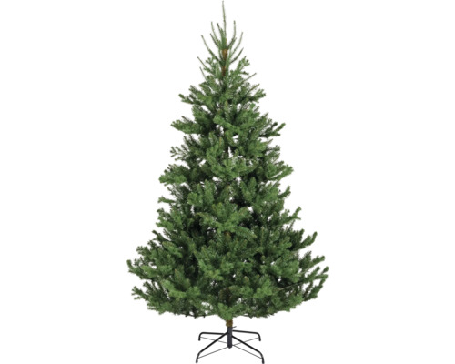 Kunstkerstboom Everlands D 116 cm H 180 cm groen