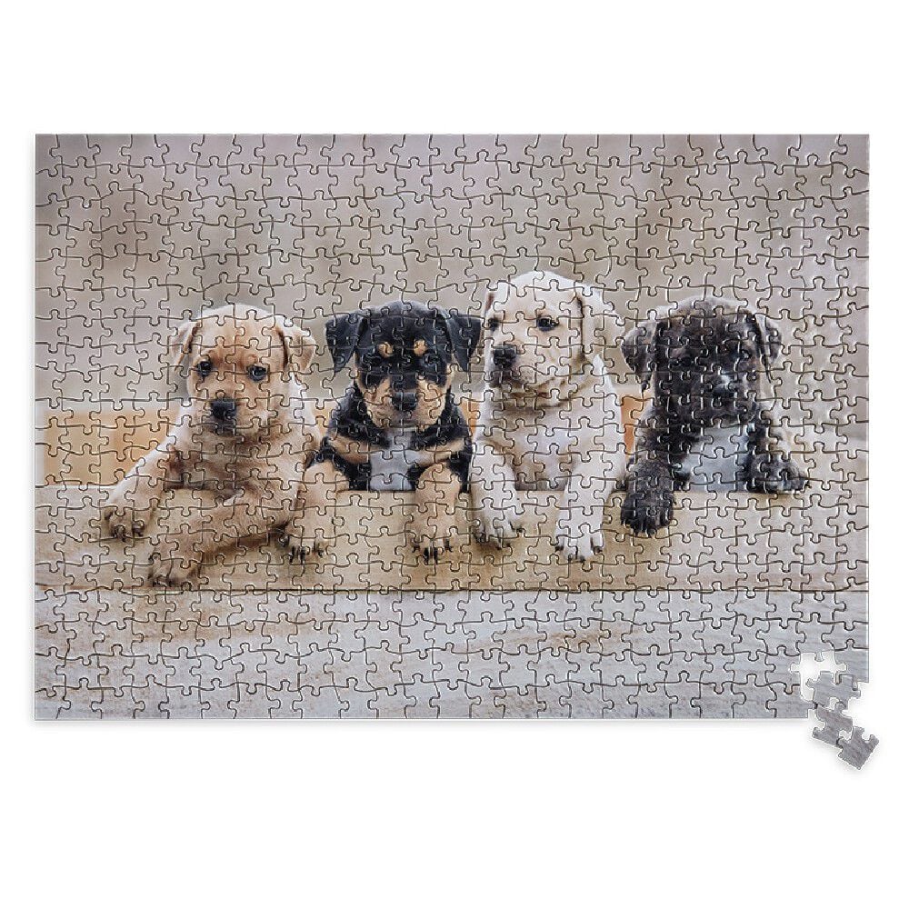 Puzzle 500 pièces