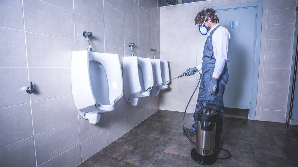 Puvérisateur à pression préalable ik metal inox 10l - construction et industrie