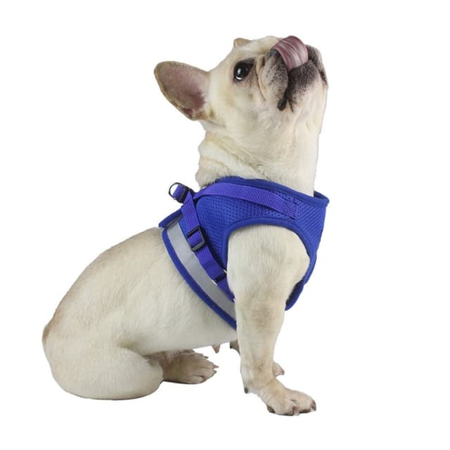 Reflekterende hundesele til små mellemstore hunde