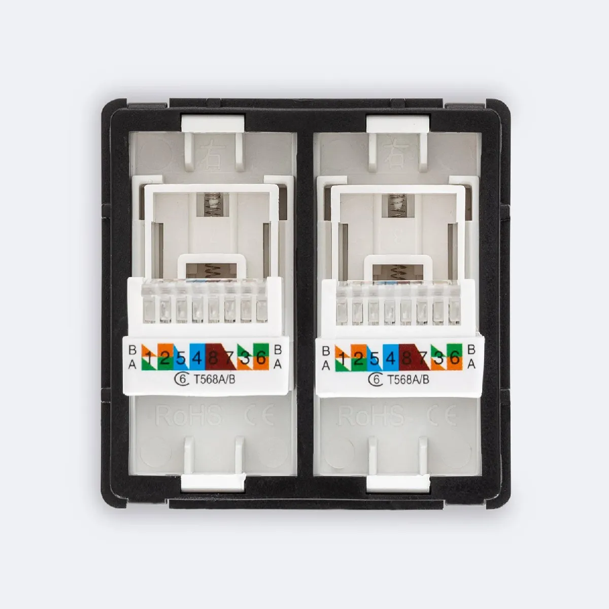 Ledkia Prise Internet RJ45 Cat 6 Double Blanc