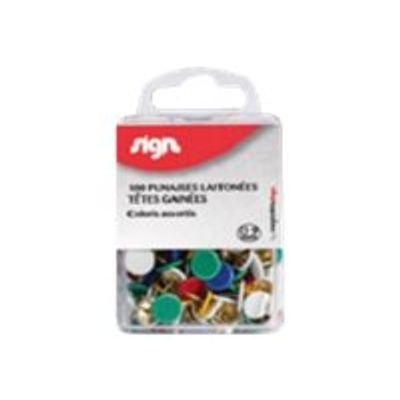 Sign - 100 Punaises à tête capsulée - 9 mm - 6 couleurs assorties