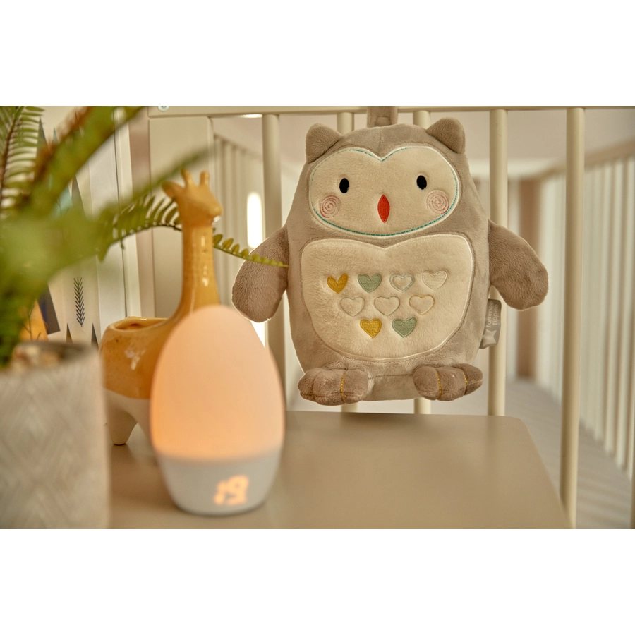 Tommee Tippee Einschlaf- und Durchschlafhilfe Grofriend wiederaufladbar, Ollie Eule inkl. Einschlafhilfe Mini-Grofriend Ollie Eule