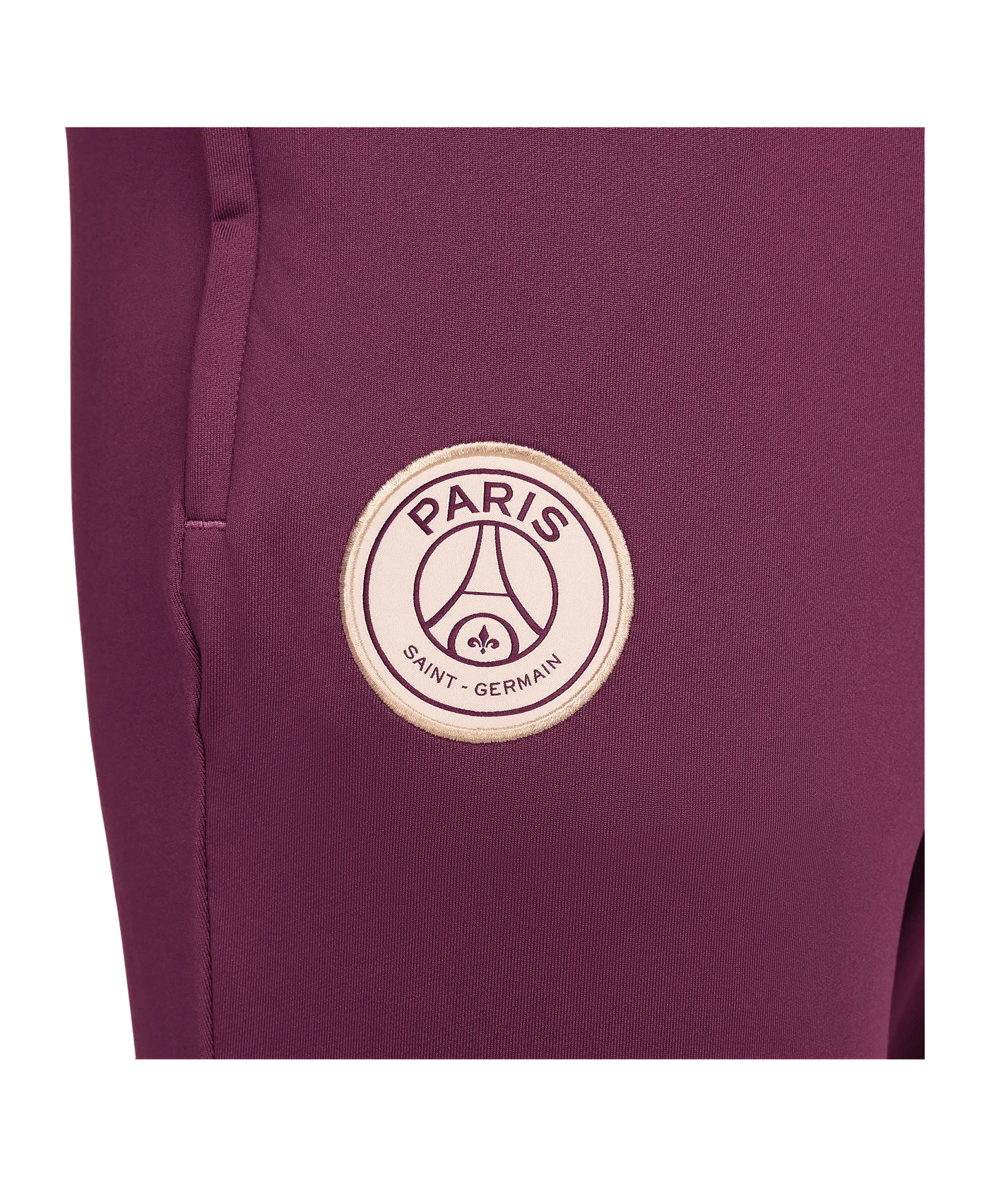 Nike Paris St. Germain Trainingshose Rot F610