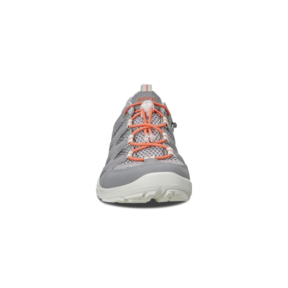 Ecco Terracruise LT Wanderschuhe Damen silver grey