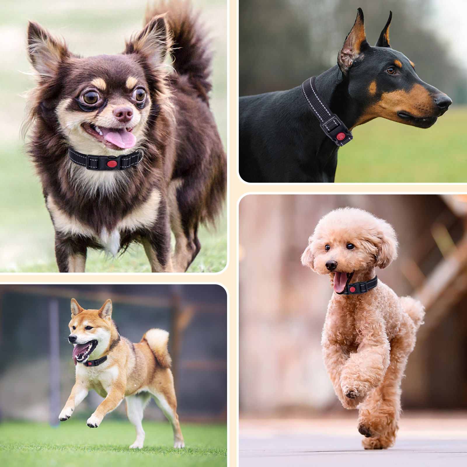 Nobleza - 2 coleiras para cães, coleira de nylon macia e acolchoada com detalhes refletivos, coleira ajustável para cães grandes com trava de segurança, coleiras para treinamento de cães (G, preta)