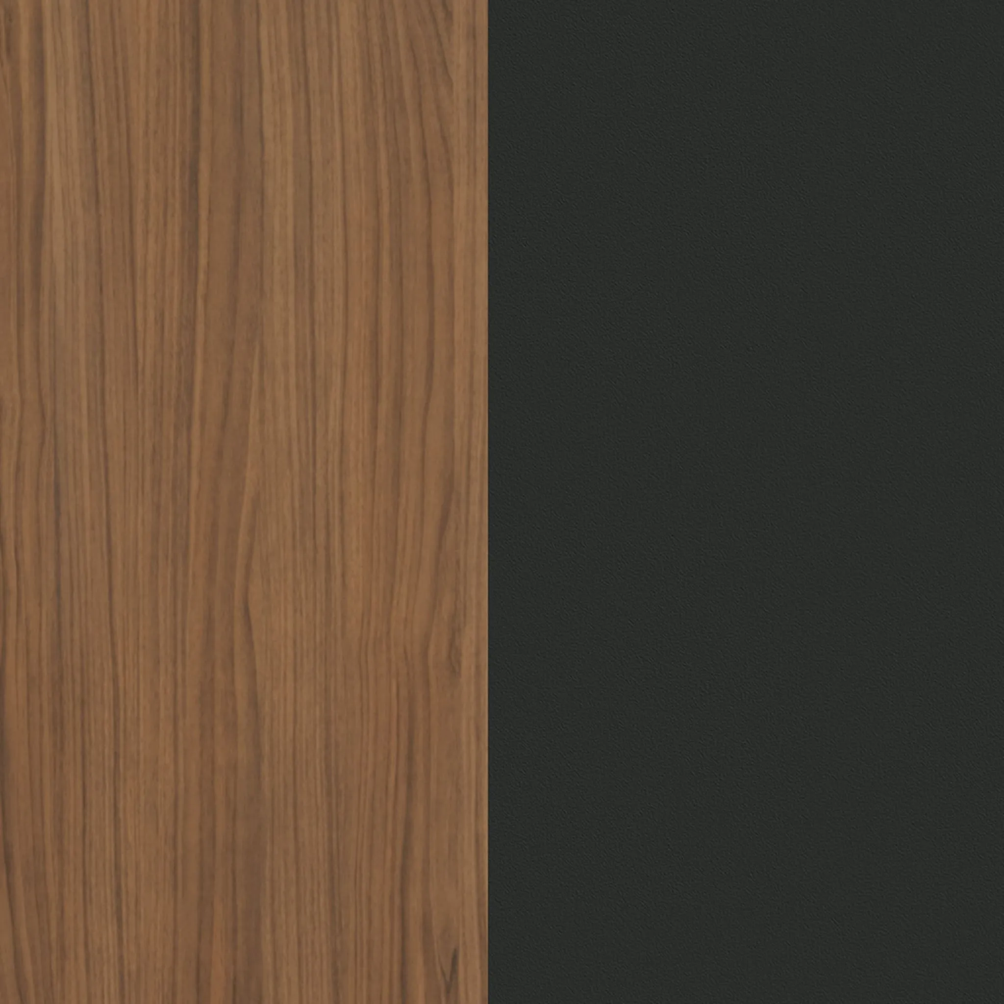 Nexera Console de Rangement 2 Portes Slim - Noyer  Noir