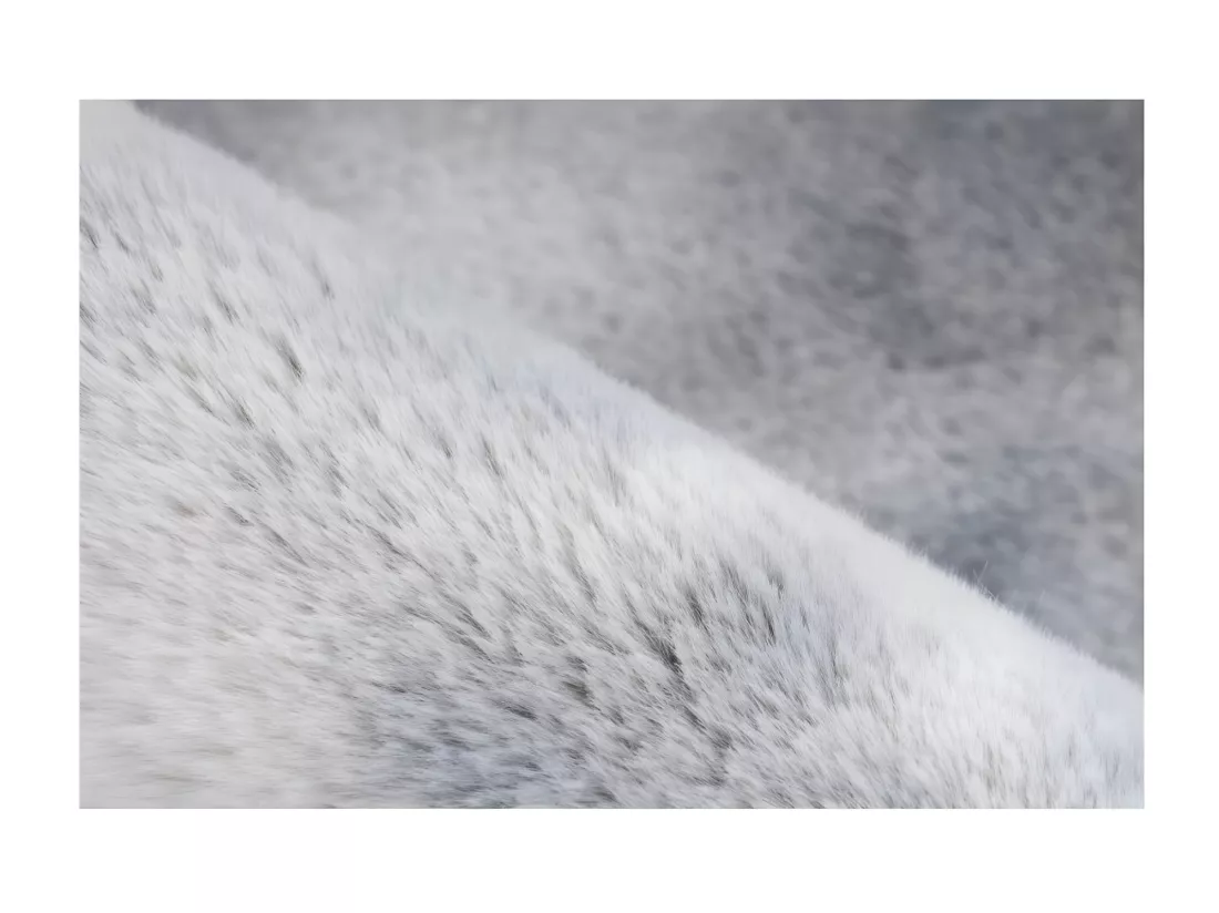 Tapis 170x120cm, design B005O coloris gris - Confort et élégance pour votre intérieur