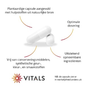 Vitals Elke Dag Mama Capsules 60CP