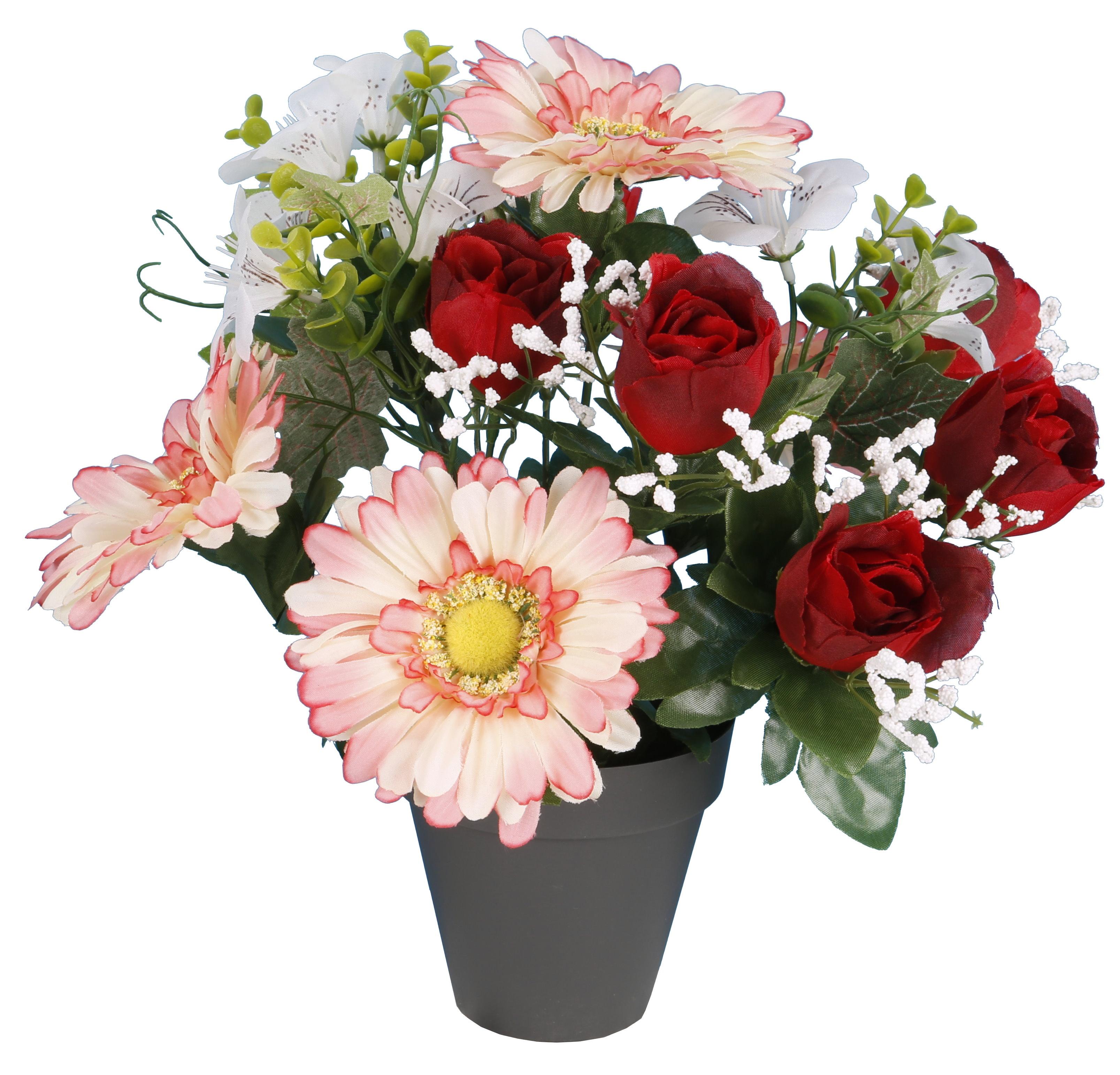 POT GERBERAS BOUTONS