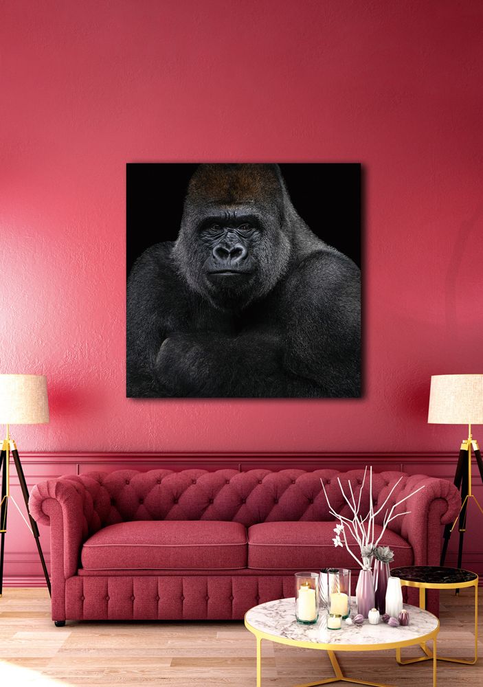 Glasbild GORILLA