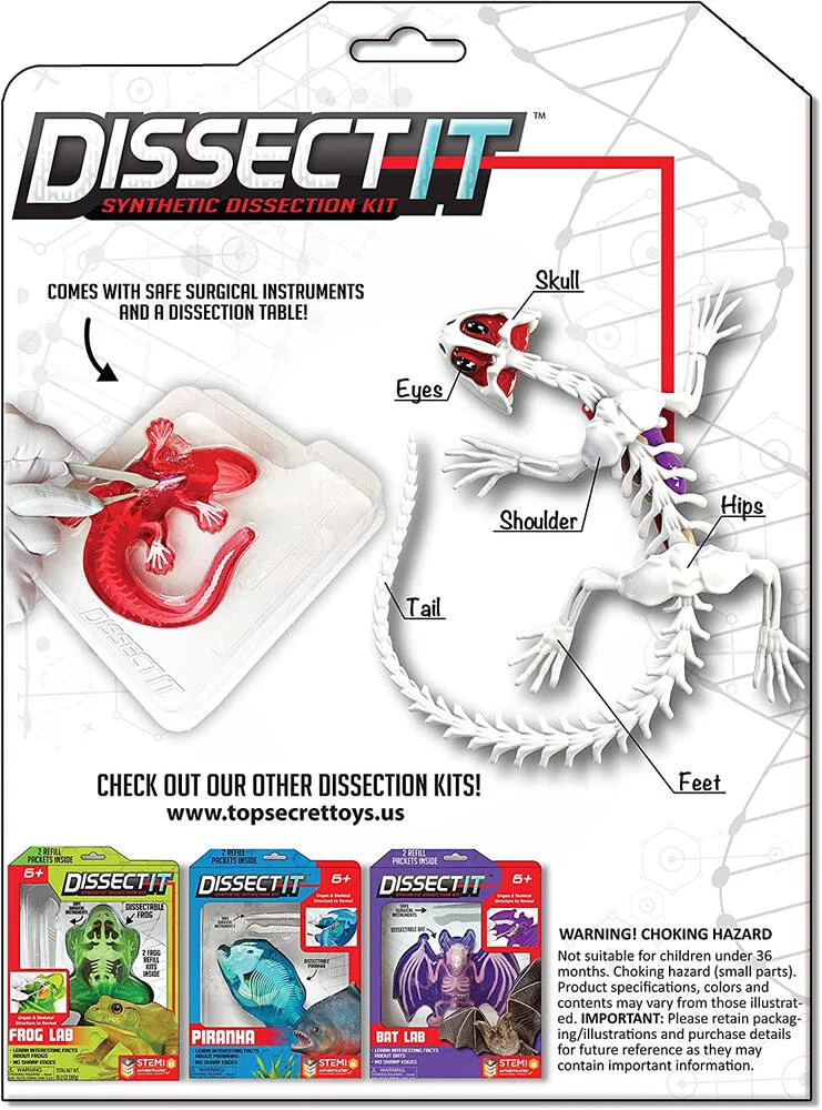 DISSECT-IT - SALAMANDRE SLIME A DISSEQUER