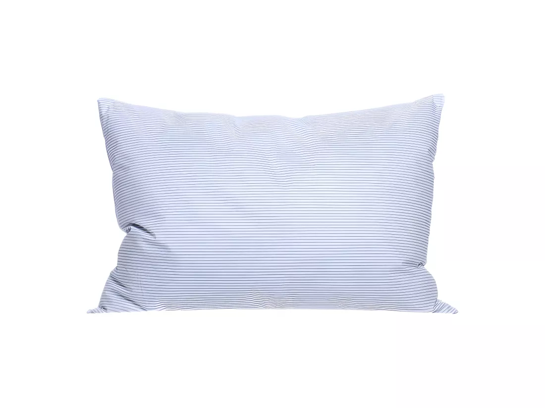 Lot De 2 Oreillers Plumes 50 X 70 Cm 