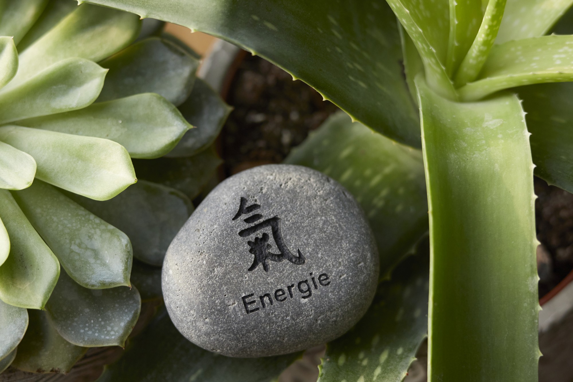 Flusskieselstein 'Energie', grau, T 8 cm, B 8 cm von fischer's lagerhaus