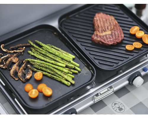 Campingaz 2-pits gasbarbecue zilver inclusief grillrooster