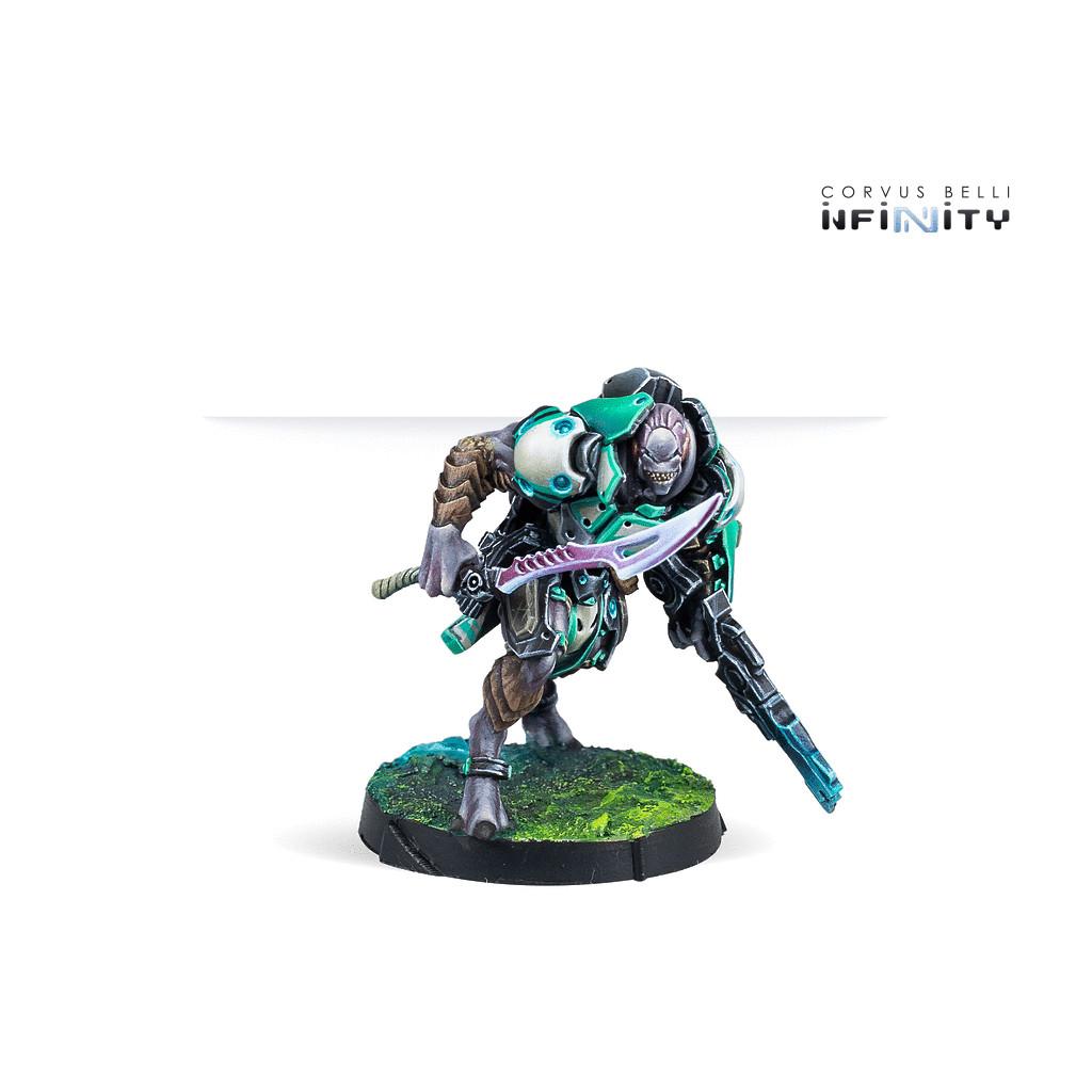 Infinity - NA2 - Chaksa Longarms