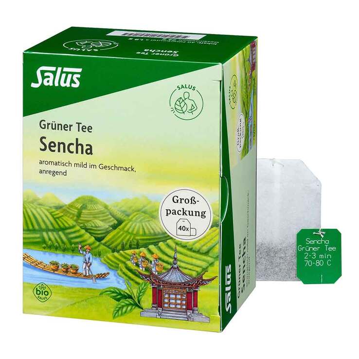 Grüner Tee bio Salus Filterbeutel Großpackung, 40 St