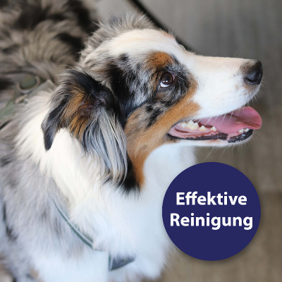 Canosept Zahnpflege Hund - Zahnpflegespray für das Hundegebiss 100ml