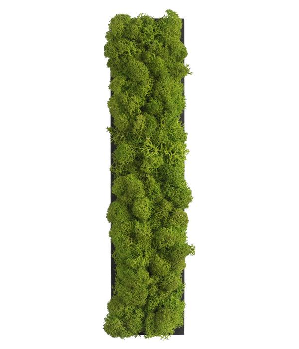 styleGREEN Buchstaben aus Islandmoos, ca. H25