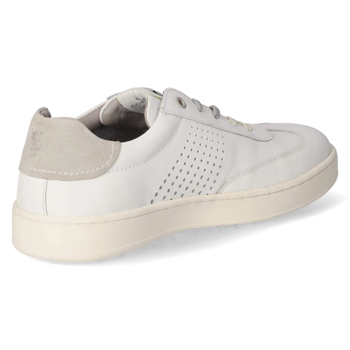 SalamanderLow Sneaker - white