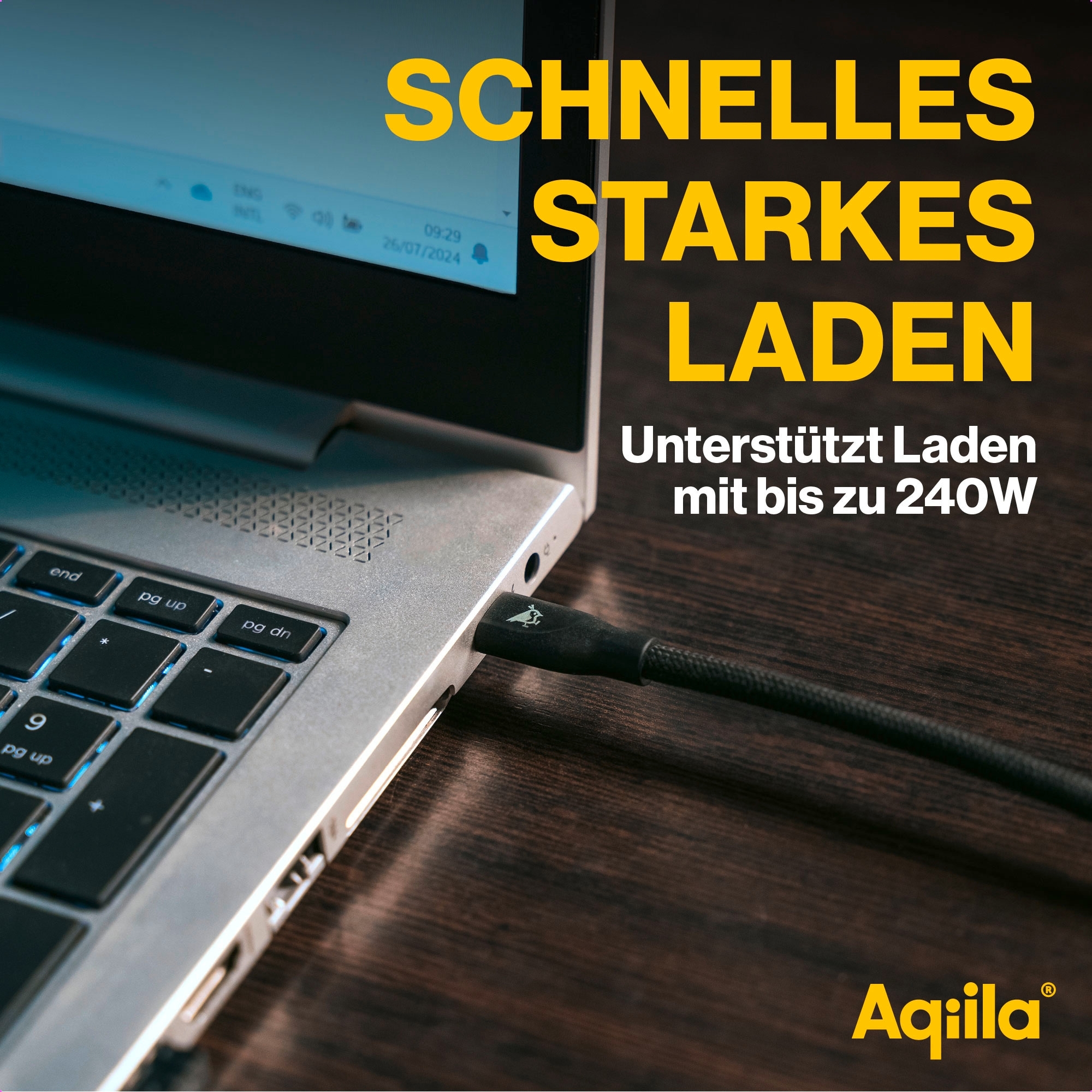Aqiila Cablebird CB13 Ladekabel / Sync-Kabel USB-C zu USB-C / 240 W / 3 Meter