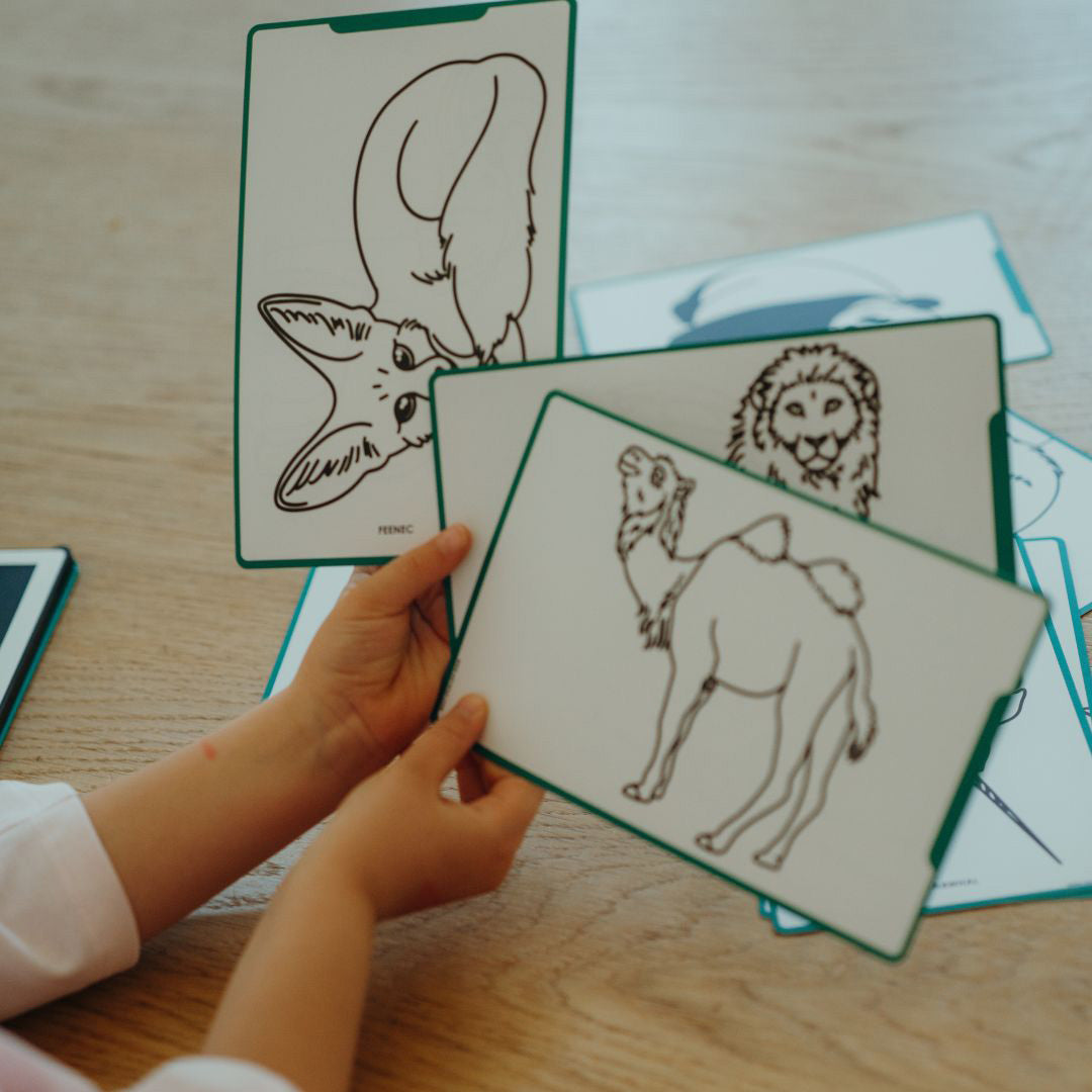 kidywolf extra tekenkaarten voor kidydraw mini - dieren - oceanen