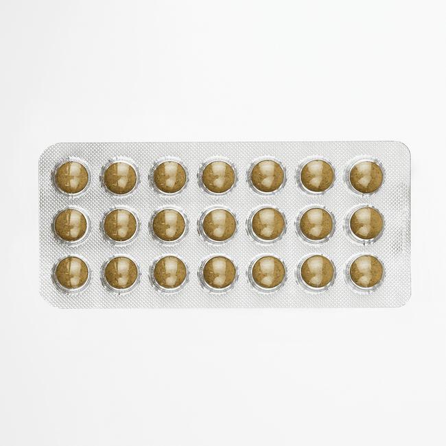 Salus Floradix IJzer Tabletten