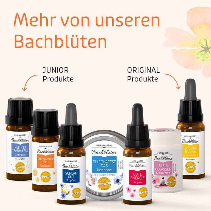 Bachblüten Murnauers Globuli Konzentrier Dich, 10 g