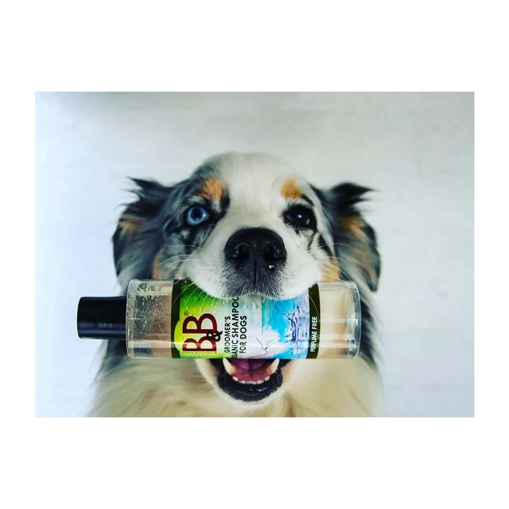 B&B hundeshampoo, neutral - 250 ml