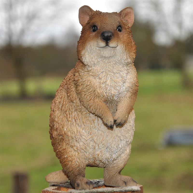 Dazikemo Dekofigur Gartenfigur Erdmännchen