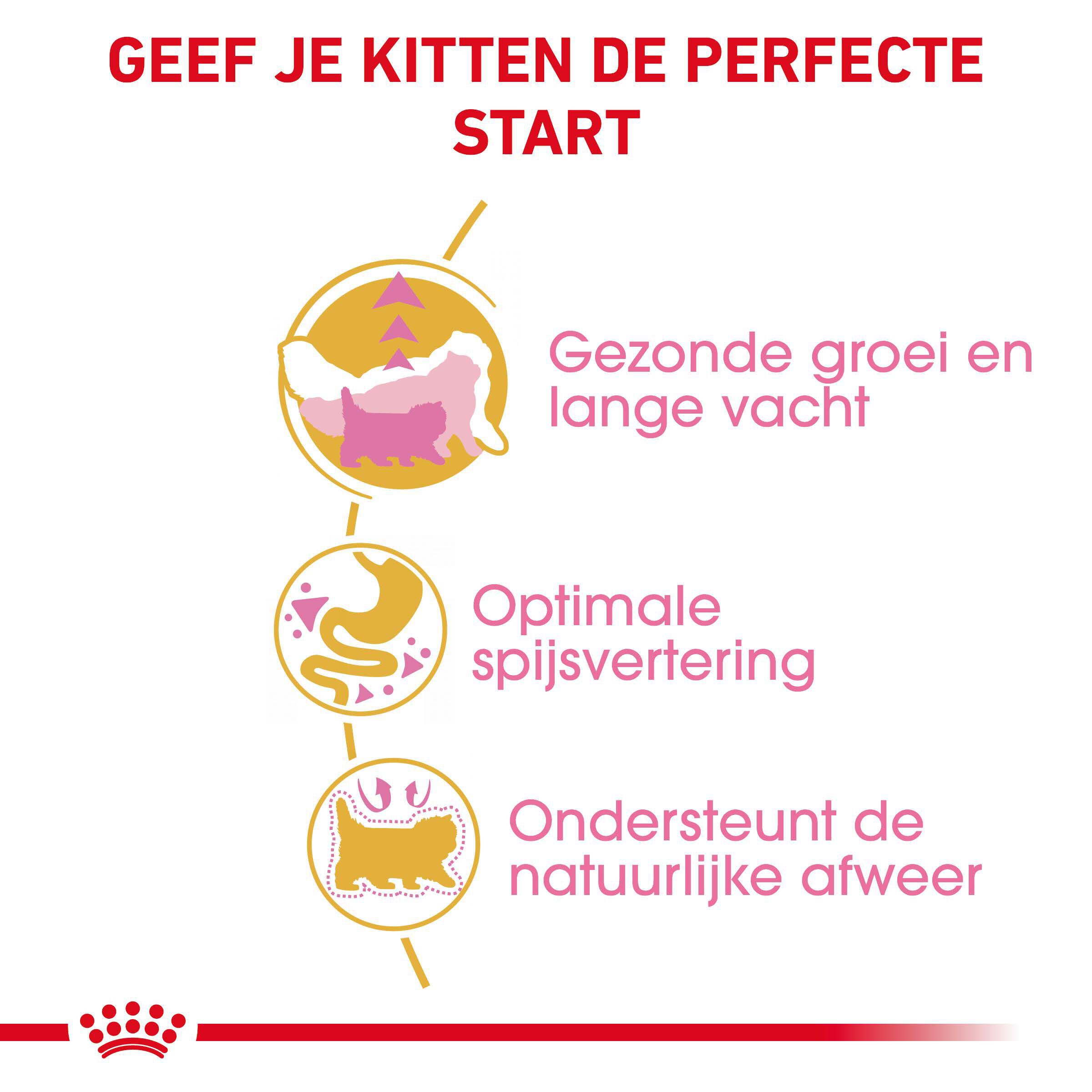 Royal Canin Persian Kitten - Kattenvoer - 0.4 Kilogram - Gevogelte