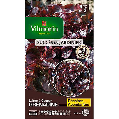 Graines de Laitue à couper Grenadine