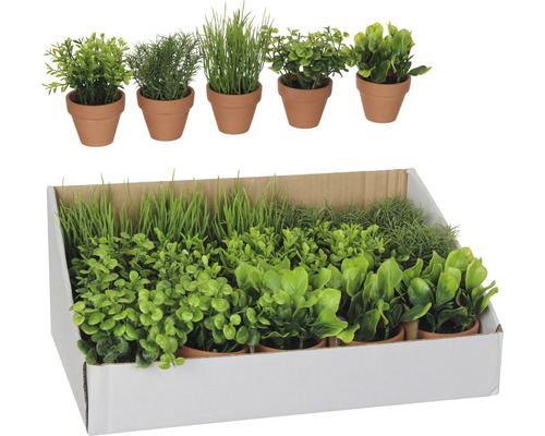 Kunstplant Mica kruid in pot, groen