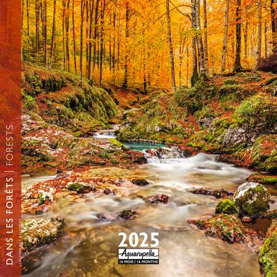 Calendrier mensuel 30x30 cm - 16 mois - Dans les forêts