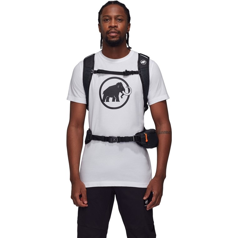 Mammut Lithium 20 Platinum/Black