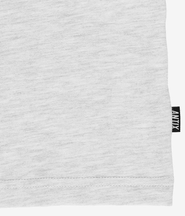 Antix Torso T-Shirt (white heather)