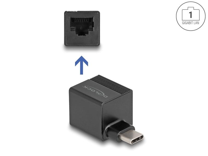 Delock Netzwerk-Adapter mini USB Typ-C Delock USB Type-C Adapter zu Gigabit LAN mini