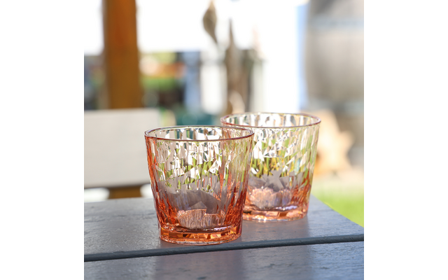 Koziol Superglas CLUB No. 22 2er Set 250 ml