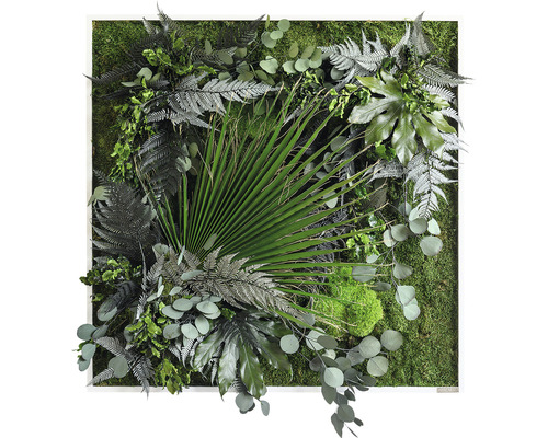 Plantenfoto jungle design lijst wit 80x80 cm