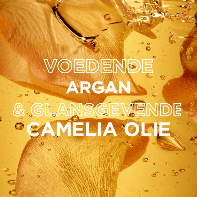Garnier Loving Blends Argan- & Cameliaolie Conditioner 250 ML