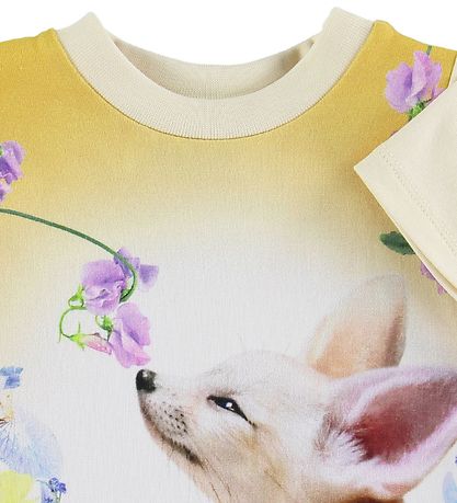 Molo T-Shirt - Elly - Fennec Baby