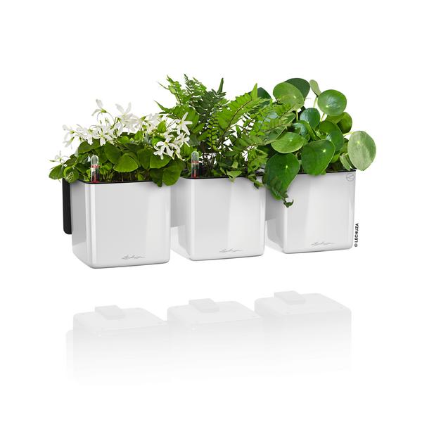 LECHUZA® CUBE Glossy Green Wall Home Kit, ca.