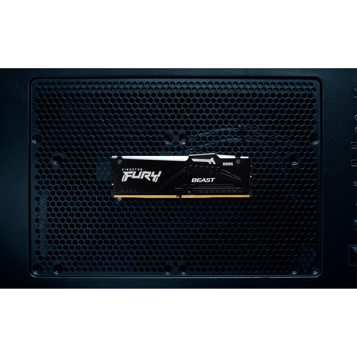 Kingston FURY Beast RGB 64GB DDR5 RAM 6400MT/s CL32 (sort)