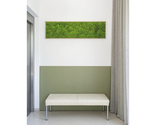 Bolmos fotolijst eikenlook 140x40 cm
