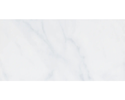 Steengoed wandtegel Carrara grijs glanzend 30 x 60 cm glanzend