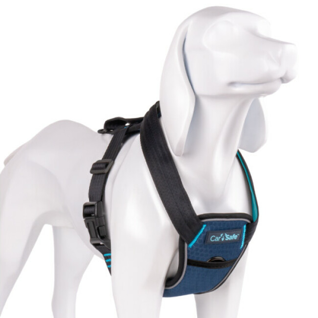 Harnais Crash Tested transport en voiture CarSafe pour chien