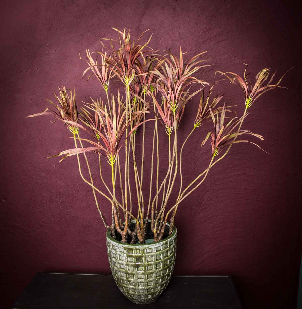 Ptmd plante artificielle leaves - 98x36x117 cm - plastique - bordeaux