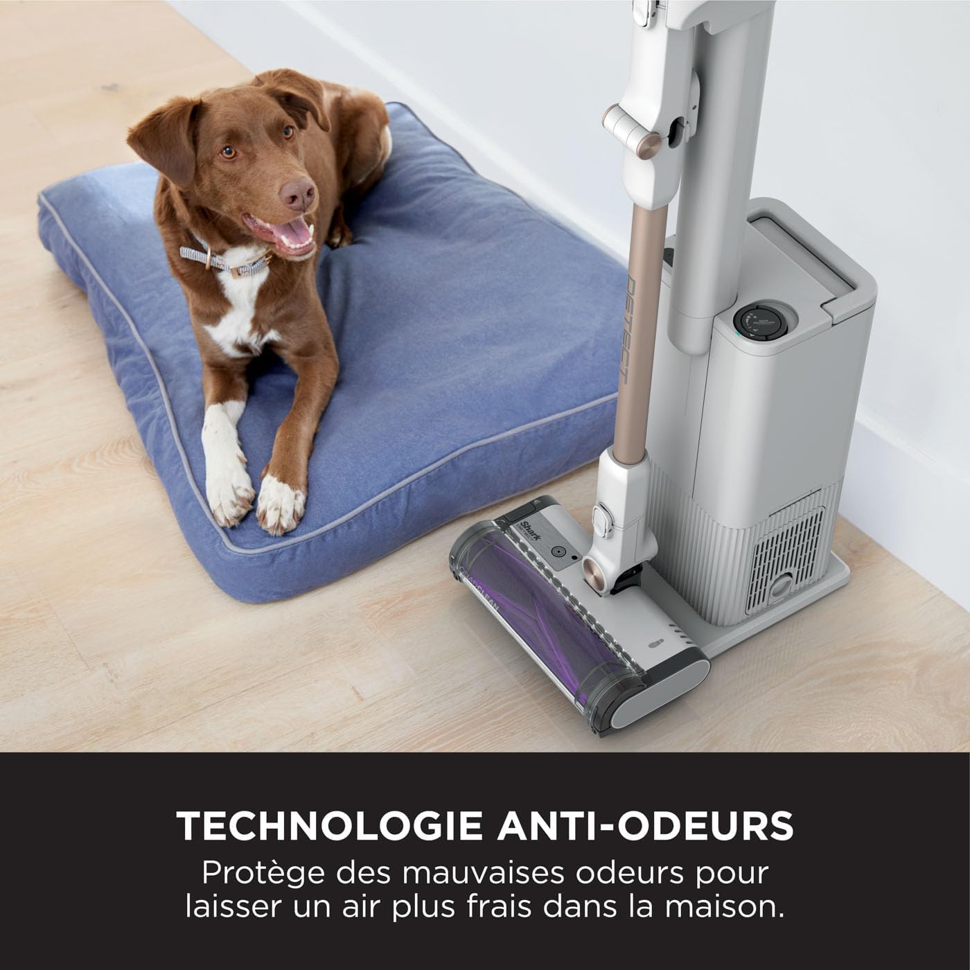 Shark Detect Clean & Empty Aspirateur balai sans fil , aspiration puissante, détection des saletés, base autovidante de 2 L, autonomie de 60 min, anti-emmêlement, brosse, suceur plat, blanc IW3612EU