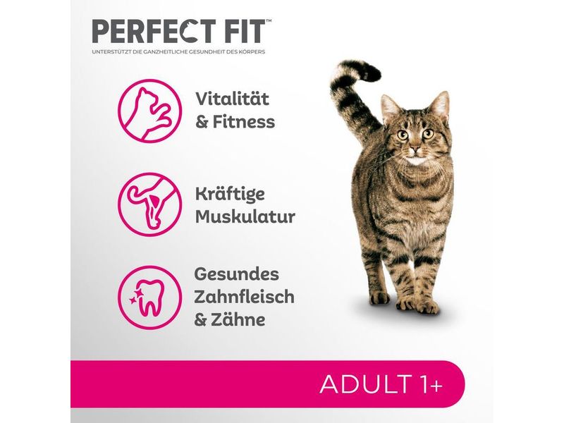 Perfect Fit Trockenfutter CAT Trocken Adult 1  Lachs, 1.4 k Alleinfuttermittel für ausgewachsene Katzen