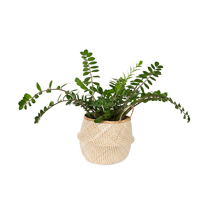 Panier Belly naturel et blanc taille L